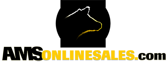 Logo image for AMS Online Sales